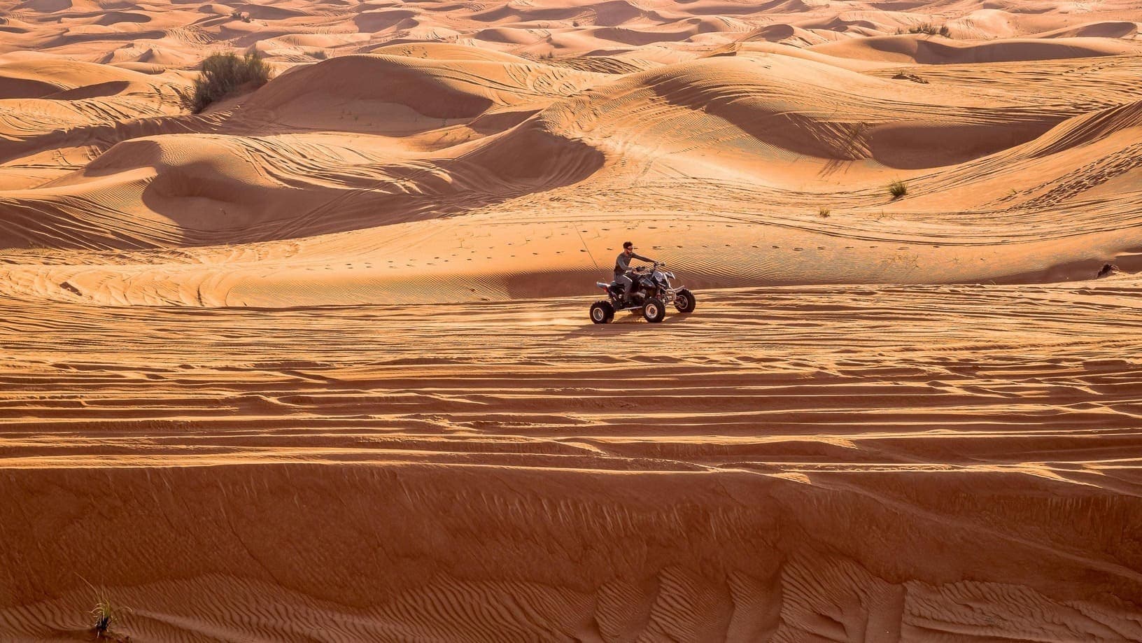 Does it matter if I'm deregistering a motorcycle, quad, truck, motorhome, tractor, or just a car online?