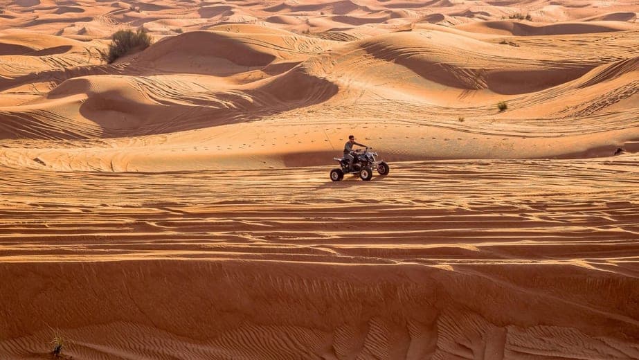 Does it matter if I'm deregistering a motorcycle, quad, truck, motorhome, tractor, or just a car online?